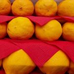 saadan-oeger-du-maengden-af-citronsaft-med-40-procent-et.jpg